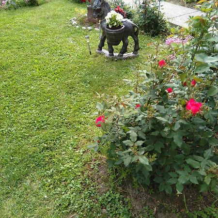 Pepa Zg Daire Zagreb Dış mekan fotoğraf